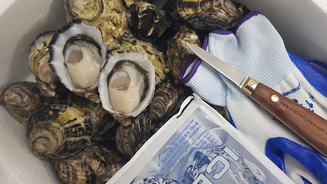 Pristine Oysters packing with knife and glove. Picture: Supplied