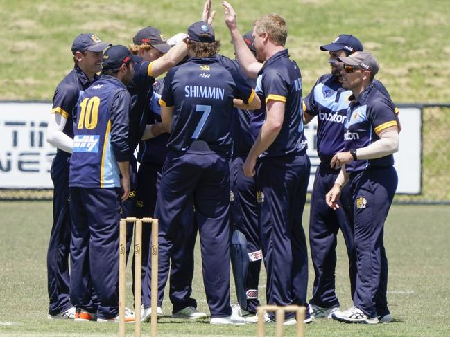 Brighton players bunch after the first wicket of the match. Picture: Valeriu Campan