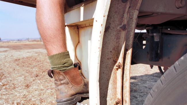 Stock feed company Ridley is on the acquisition trail.