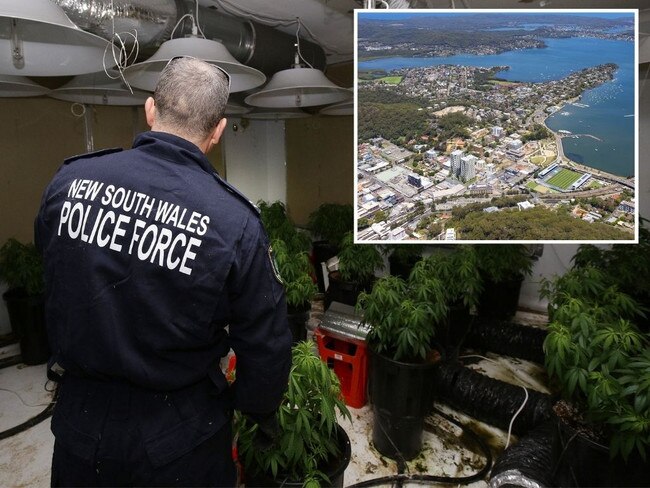 Pockets of regional NSW have emerged as hot spots for trafficking meth, cocaine, cannabis and more – even leapfrogging some Sydney LGAs to get there.