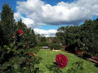 BLOOMING BEAUTIFUL: To everyone’s delight, Julie Roggeveen is back in the 2019 The Chronicle Garden Competition and she is eager to show off her labour of love.