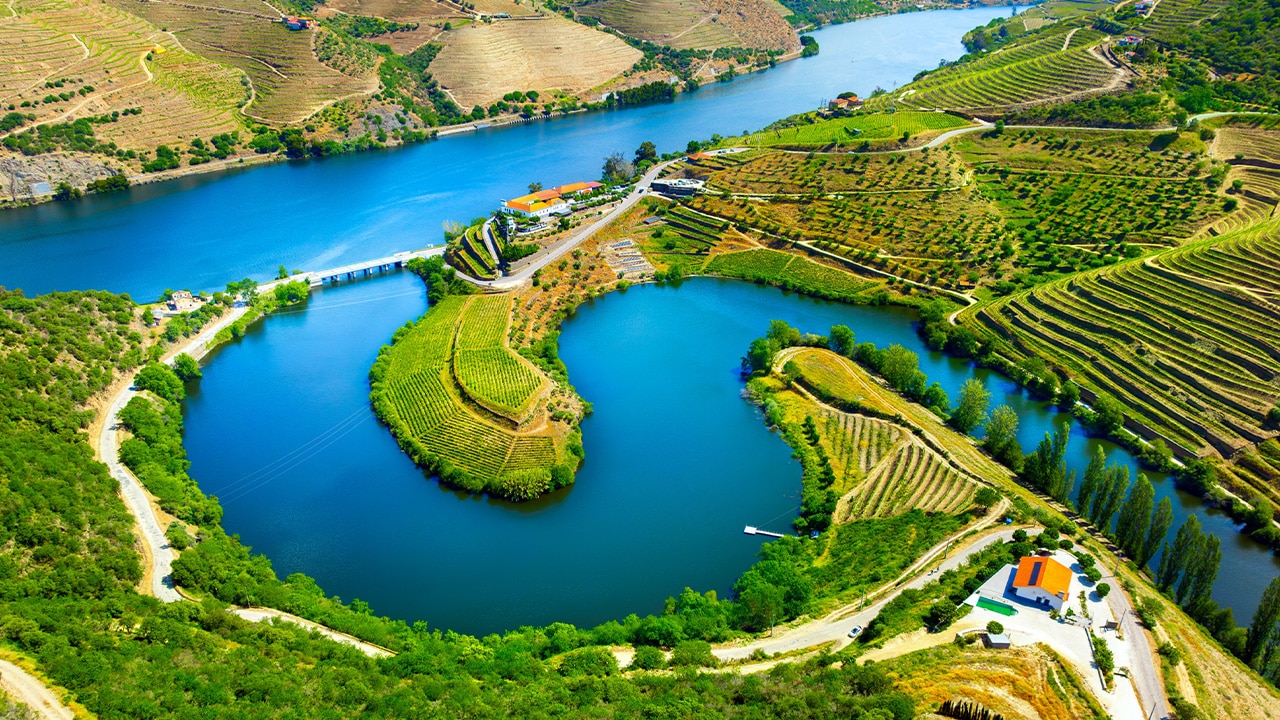 Vineyard terraces along the Douro River.