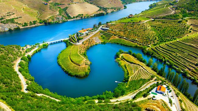 Vineyard terraces along the Douro River.