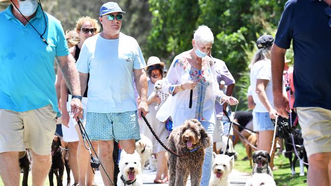 Residents protest changes to dog laws at La Balsa Park and Point Cartwright Reserve. Picture: Patrick Woods.