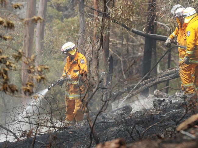 Collinsvale brigade members mopping up.  Day after an emergency warning was issued for a bushfire on Collinsvale Road Glenlusk with Tasmania Fire Service mopping up.  Picture: NIKKI DAVIS-JONES