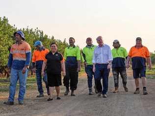 WORKING WELL: Australia's High Commissioner to Tonga Adrian Morrison with Tongan workers in Mundubbera. Picture: Alex Treacy