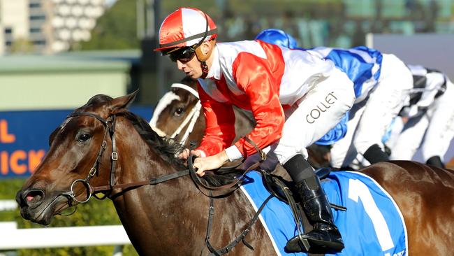 French import Aristonous will be hard to beat at Warwick Farm on Monday: Pic: Getty images