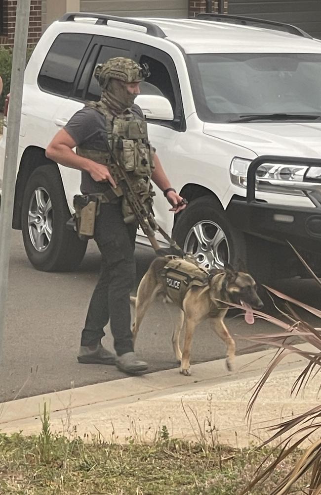 A hero police dog helped bring the gunman down. Picture: Supplied