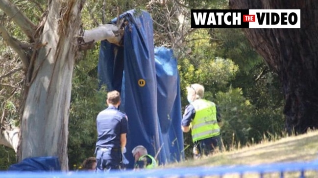 What caused the Tasmania jumping castle tragedy?