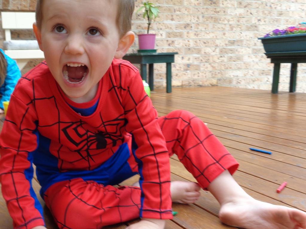 William Tyrrell vanished in 2014. Picture: AAP/NSW Police