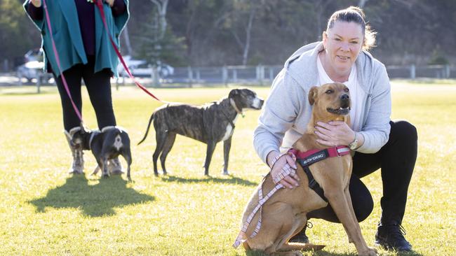 Emily Green and Mischa before the Million Paws Walk at the Domain. Picture: Chris Kidd