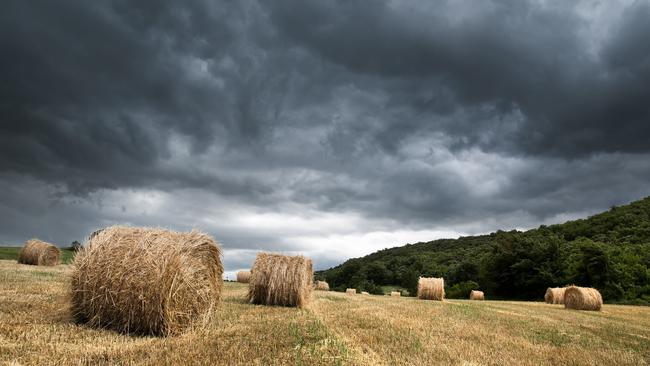 Rising supplies: Declining demand will see hay stocks continue to rise in Victoria and South Australia.