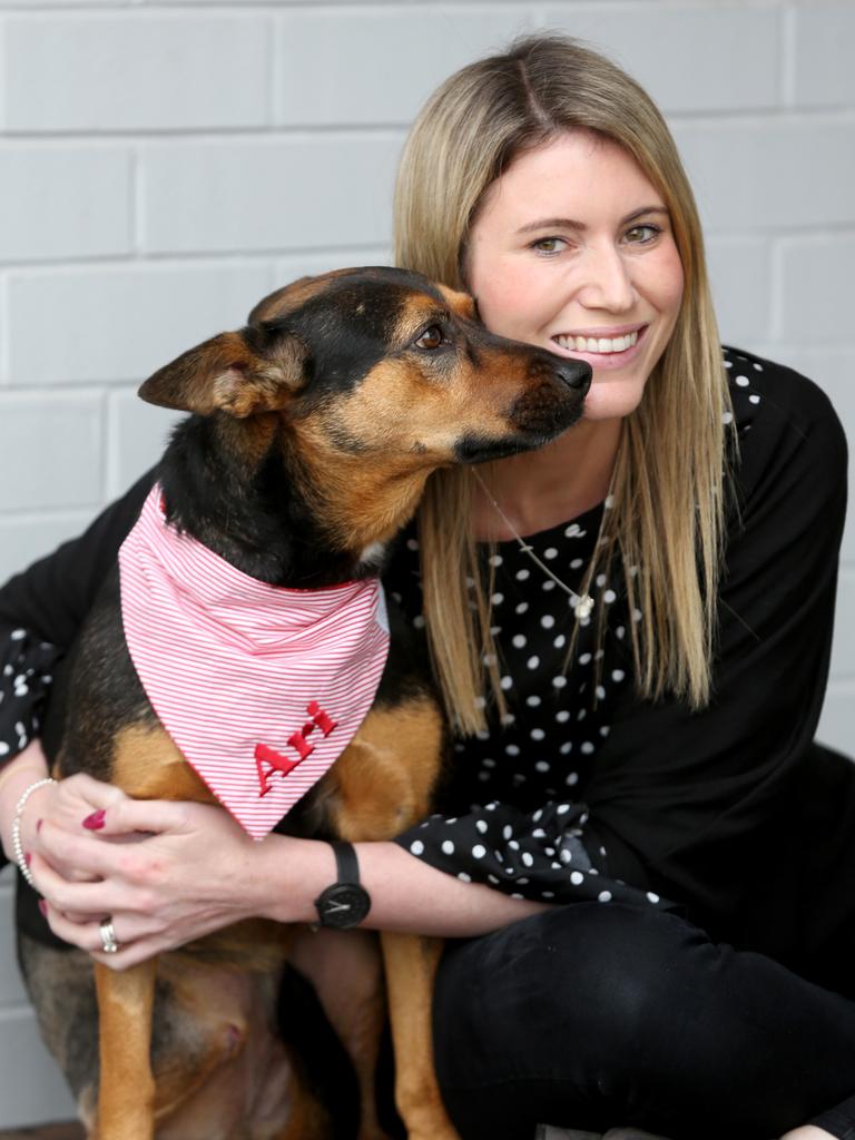 Geelong Animal Rescue 1000 days in foster care for lovable mix Ari