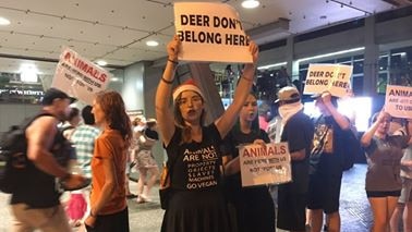 Animal activists protest Brisbane's annual Christmas parade.