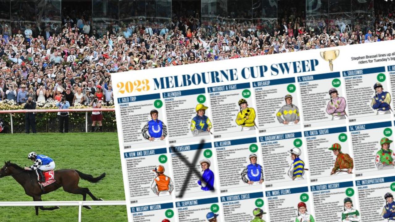 Download your 2023 Melbourne Cup sweep poster The Courier Mail