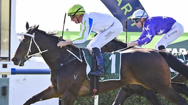 The Kristen Buchanan-trained Winning Proposal wins at Warwick Farm on June 26, 2024. Picture: Bradley Photos