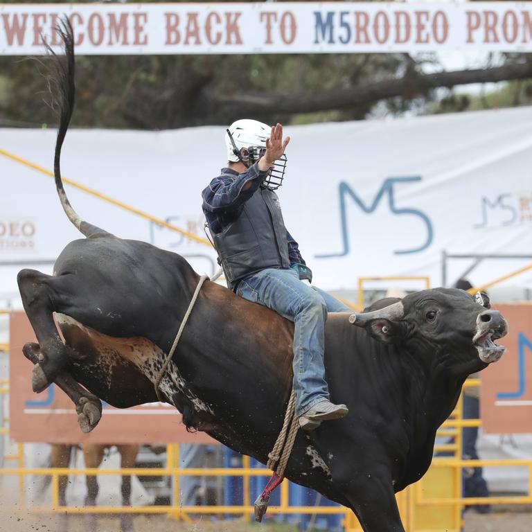 Hanging on isn’t easy. Picture: Mark Wilson