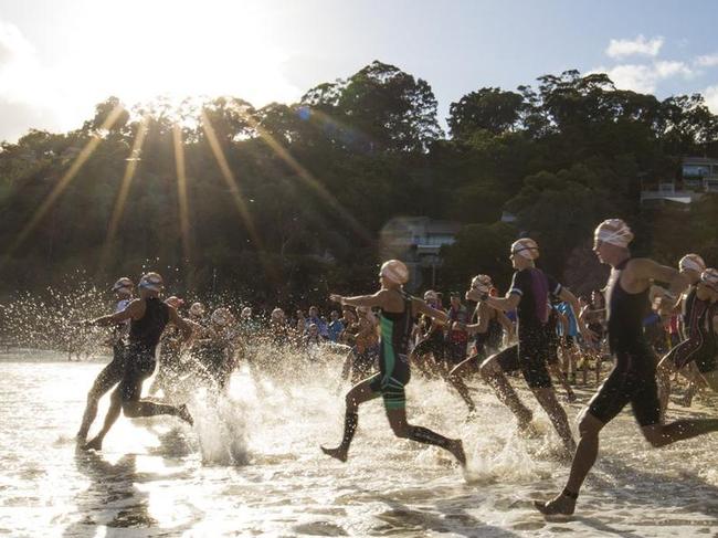 Ready, steady, no: Council’s COVID ban blocks Noosa Tri