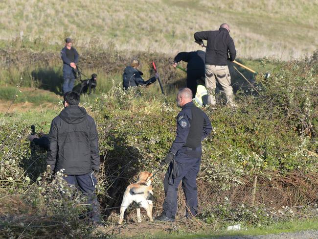 Victoria Police use dogs during a ‘targeted search’ for Samantha Murphy’s body. Picture: Ian Wilson