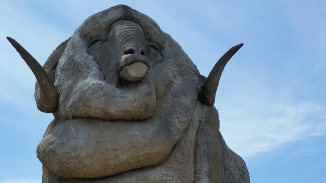 A man and baby were struck by a car at the Big Merino in Goulburn on Monday afternoon.