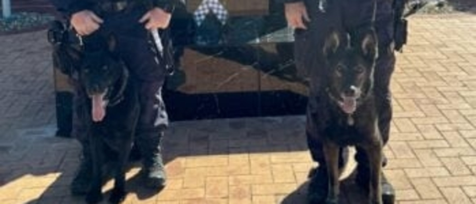 Senior Constable Brett Tome Sergeant Nathan Hester with Police Dogs Cannon and Mace.