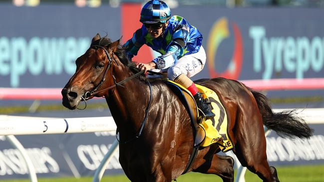 SYDNEY, AUSTRALIA - APRIL 13: Andrea Atzeni riding  Circle Of Fire wins Race 7 Schweppes Sydney Cup during Sydney Racing: The Championships at Royal Randwick Racecourse on April 13, 2024 in Sydney, Australia. (Photo by Jeremy Ng/Getty Images)