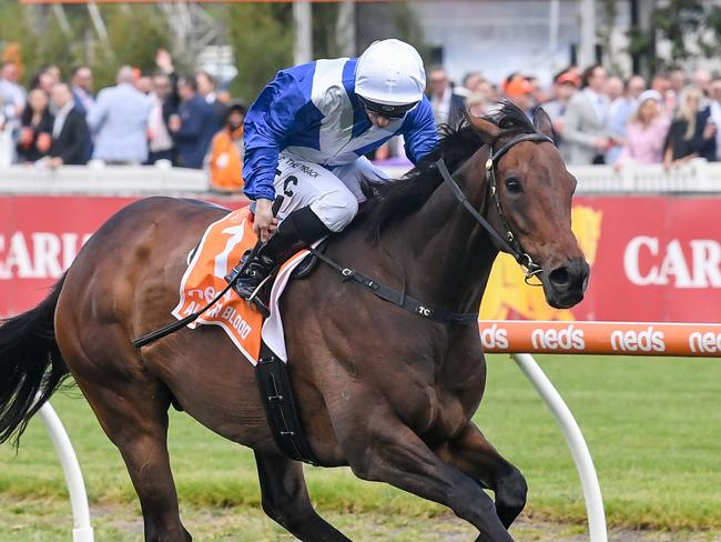 Alligator Blood ridden by Tim Clark wins the Neds Might And Power at Caulfield Racecourse on October 14, 2023 in Caulfield, Australia. (Photo by Reg Ryan/Racing Photos via Getty Images)