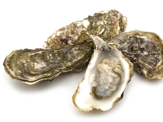 TASTE opened oysters