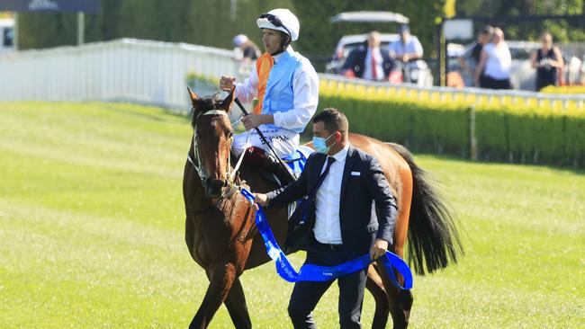 Montefilia will look to become the first horse to win both the Flight Stakes and Spring Champion. Picture: Getty Images