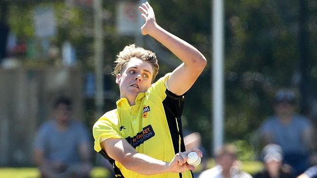 Cameron Green has 28 Sheffield Shield wickets in 11 games. Picture: AAP/Hamish Blair