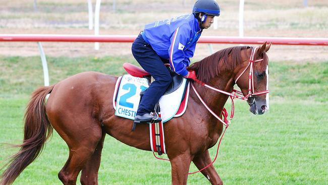 Chestnut Coat has strong Japanese form. Picture: Getty Images