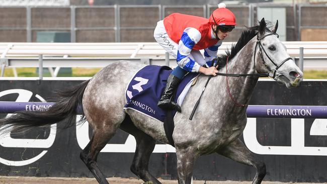 Berkshire Breeze (IRE) ridden by Ethan Brown wins the Banjo Paterson Series Final at Flemington Racecourse on July 06, 2024 in Flemington, Australia. (Photo by Brett Holburt/Racing Photos via Getty Images)