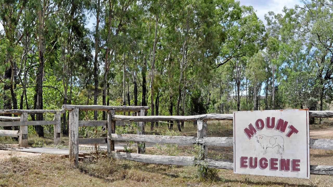 Geoff Maynard runs Belmont Red cattle at Mt Eugene at Jambin in central Queensland. March 2018. Picture: FIONA SHEEAN