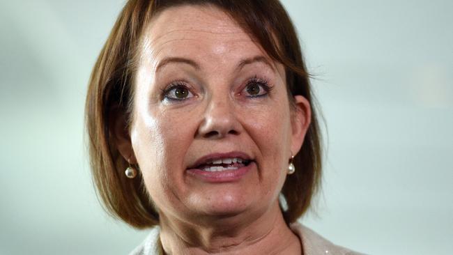 Minister for health Sussan Ley justifies her spending. Picture: AAP Image/Mick Tsikas