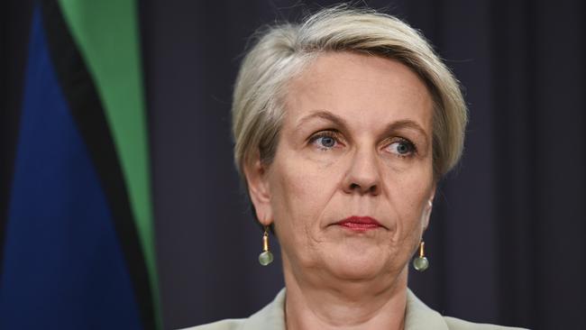 Environment Minister Tanya Plibersek. Picture: Martin Ollman/NewsWire