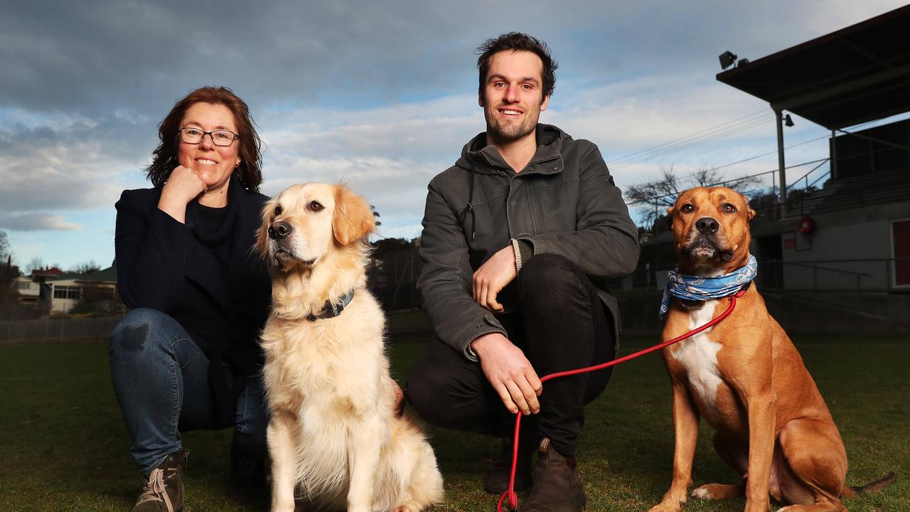 City to mull over two-decade old drama between dog owners and soccer club