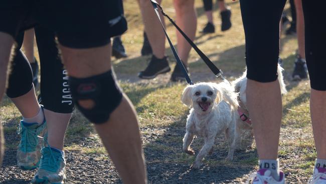 Dogs are always keen...Run for MI Life. October 17, 2021 Picture: Marty Strecker