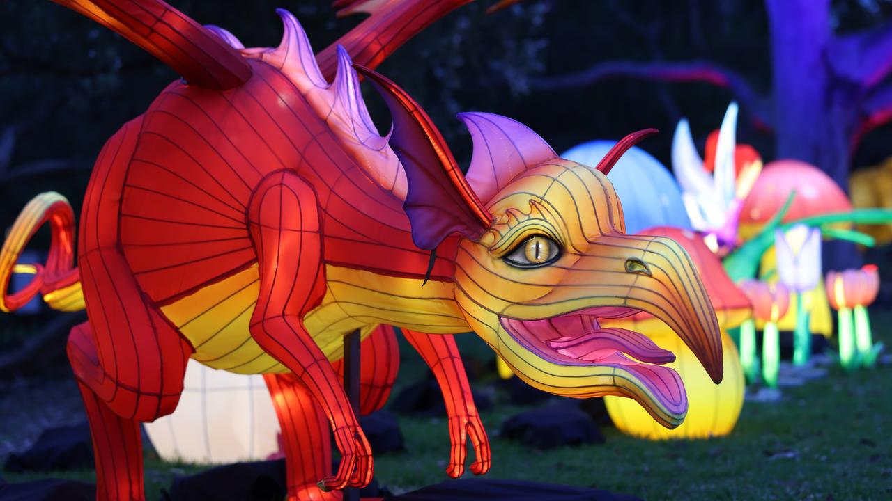 Stunning magical 30,000-light sculpture exhibition at Broadwater