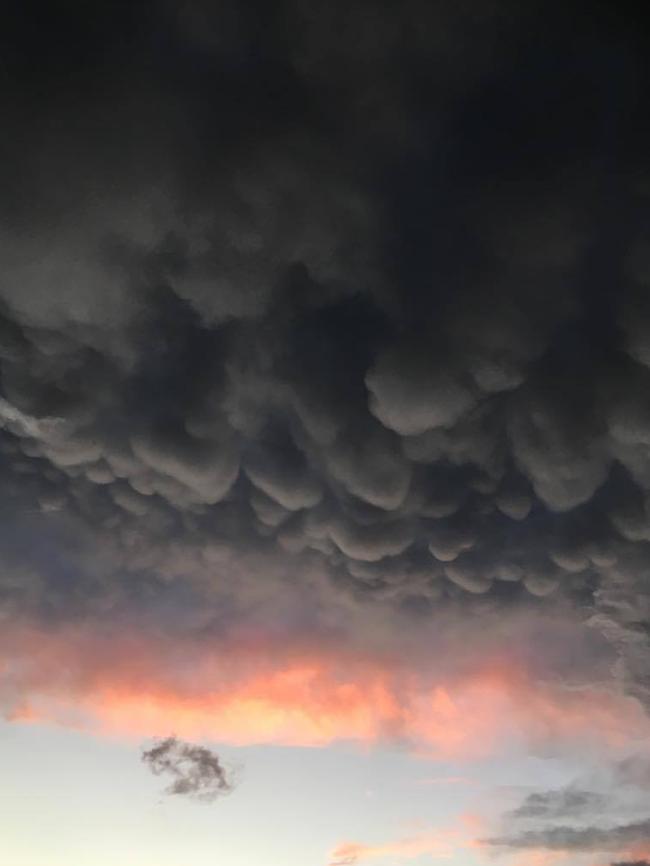 Lee Bell took this pic at Robina.