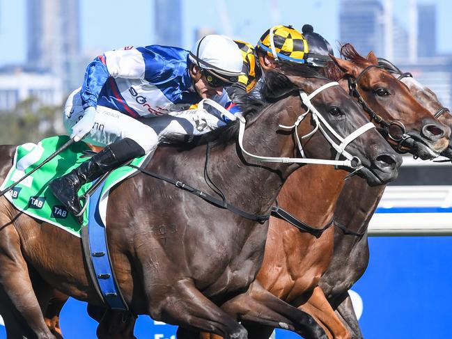 Atishu (NZ) ridden by Blake Shinn wins the TAB Blamey Stakes at Flemington Racecourse on March 02, 2024 in Flemington, Australia. (Photo by Pat Scala/Racing Photos via Getty Images)