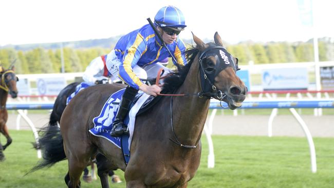 Perfect World won by a space at Ballarat first-up. Picture: Racing Photos via Getty Images