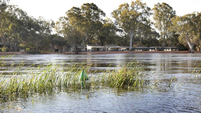 The Murray, between Renmark and Paringa, looking towards the Riverbend Caravan Park. Picture Dean Martin