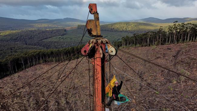 Tensions between the Huon Valley logging industry and the Bob Brown Foundation had been high ever since the May forestry coupe protest pictured above. Picture: BBF.