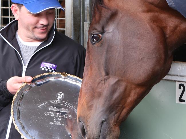 A relaxed Winx at her Flemington stall with stablehand Umut Odemislioglu on Sunday. Picture: David Crosling