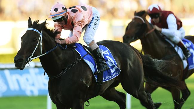 Royal Randwick Racecourse, David Jones Australian Derby Day. Darley T J Smith Stakes. Race 9 winner number 9 Black Caviar ridden by Luke Nolan.