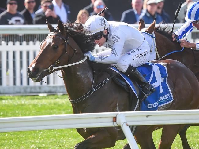 Ouroboros ridden by Craig Newitt wins the Quayclean Handicap  at Caulfield Racecourse on July 22, 2023 in Caulfield, Australia. (Photo by Reg Ryan/Racing Photos via Getty Images)