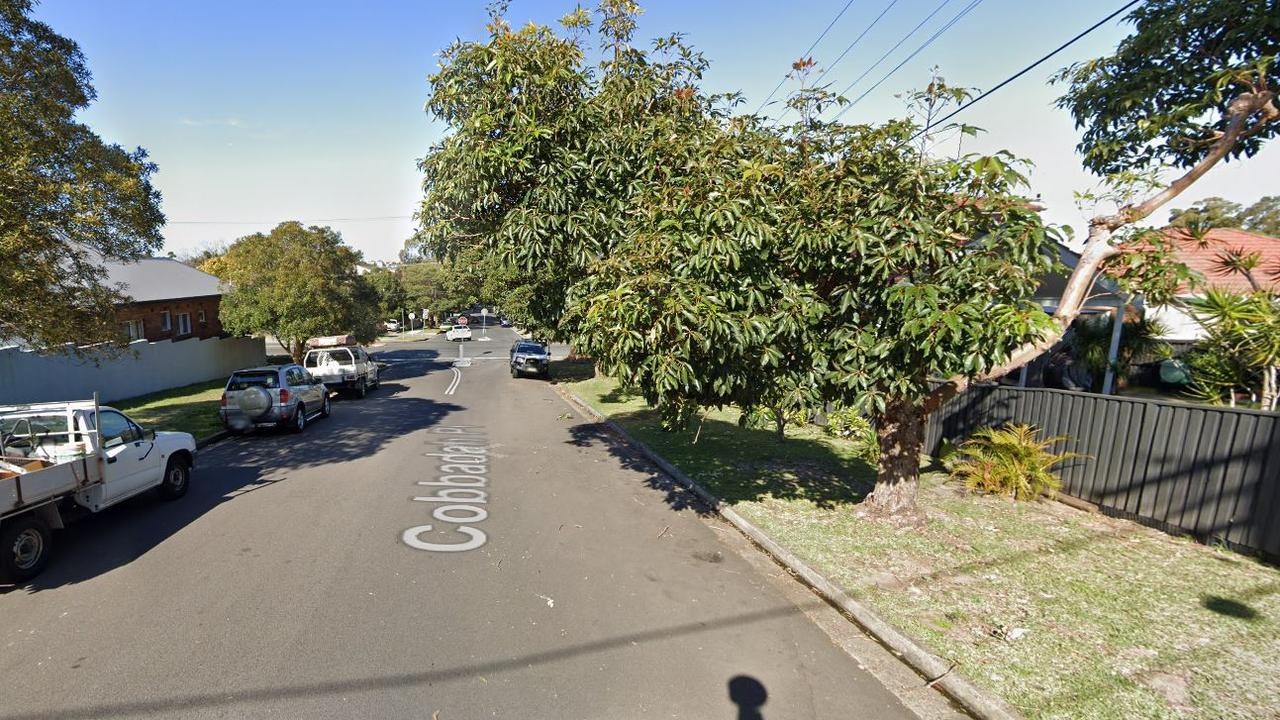 The puppy was injured while in a backyard in the northern beaches. Picture: Google Maps