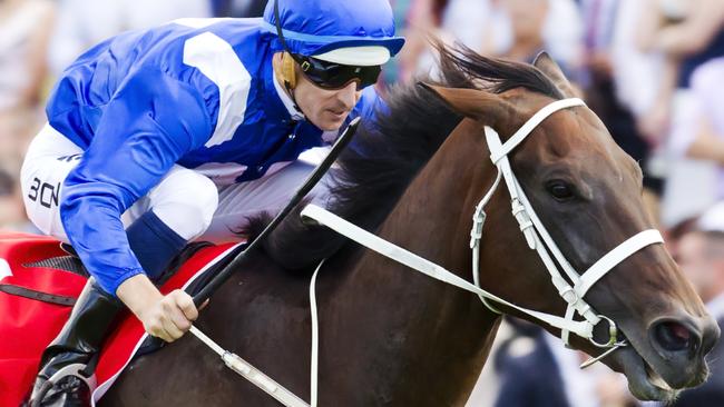 Winx is an odds-on favourite to win the Doncaster Mile. Picture: Jenny Evans