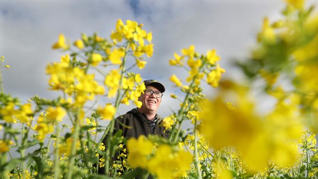 Riverton farmer Steve Ball is one of the state’s farmers in favour of lifting the GM crop moratorium. PIC TAIT SCHMAAL.