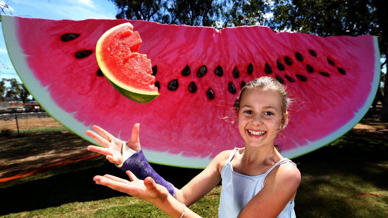 COVID CANCELS EVENT: Chinchilla’s Melon Fest has been cancelled by its organisers due to the coronavirus. Picture: Adam Head